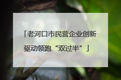 老河口市民营企业创新驱动领跑“双过半”