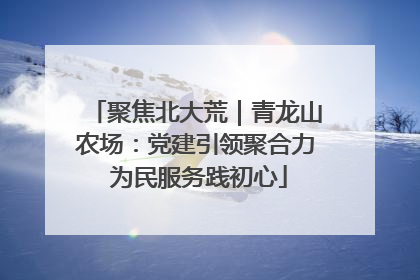 聚焦北大荒｜青龙山农场：党建引领聚合力 为民服务践初心