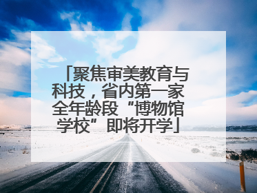 聚焦审美教育与科技，省内第一家全年龄段“博物馆学校”即将开学