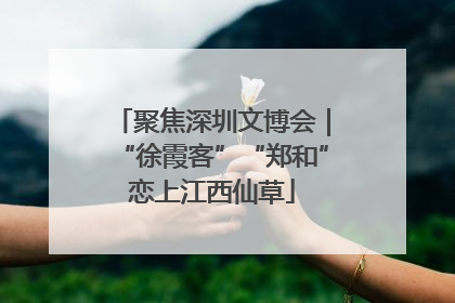 聚焦深圳文博会｜“徐霞客”“郑和”恋上江西仙草