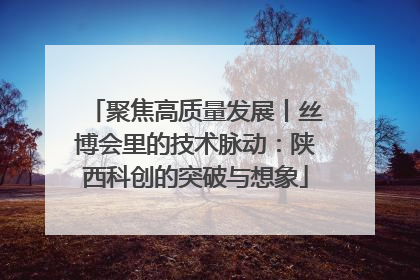 聚焦高质量发展丨丝博会里的技术脉动：陕西科创的突破与想象