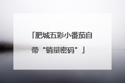 肥城五彩小番茄自带“销量密码”