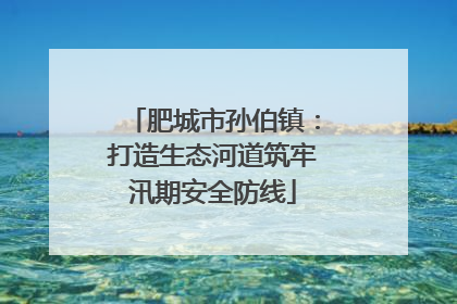 肥城市孙伯镇：打造生态河道筑牢汛期安全防线
