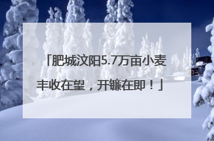 肥城汶阳5.7万亩小麦丰收在望，开镰在即！