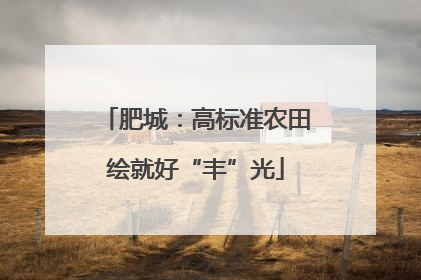 肥城：高标准农田绘就好“丰”光