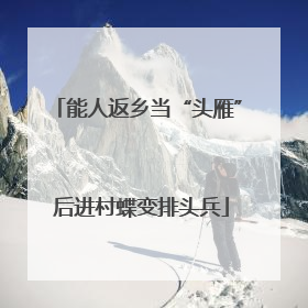 能人返乡当“头雁” 后进村蝶变排头兵