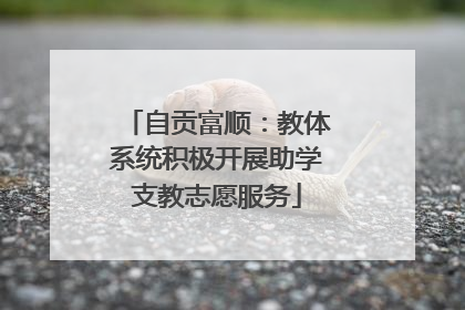 自贡富顺：教体系统积极开展助学支教志愿服务