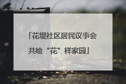 花堤社区居民议事会共绘“花”样家园