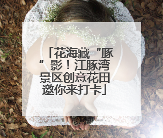 花海藏“豚”影！江豚湾景区创意花田邀你来打卡