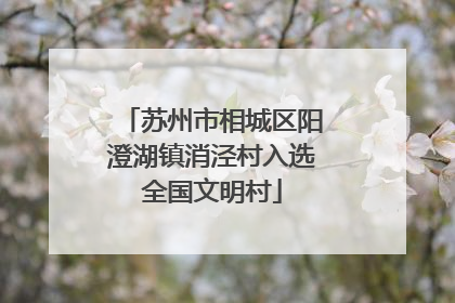 苏州市相城区阳澄湖镇消泾村入选全国文明村