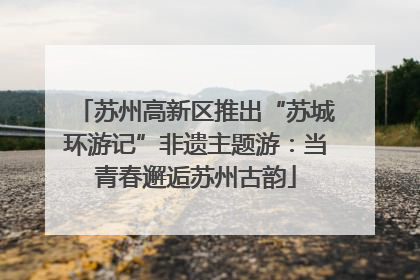 苏州高新区推出“苏城环游记”非遗主题游：当青春邂逅苏州古韵