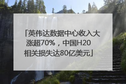 英伟达数据中心收入大涨超70%，中国H20相关损失达80亿美元