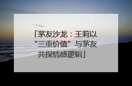 茅友沙龙：王莉以“三重价值”与茅友共探情感逻辑