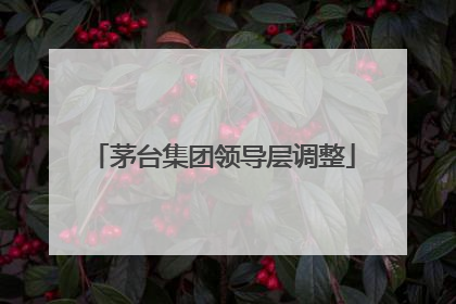 茅台集团领导层调整
