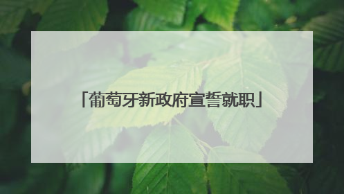 葡萄牙新政府宣誓就职