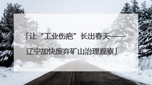让“工业伤疤”长出春天——辽宁加快废弃矿山治理观察