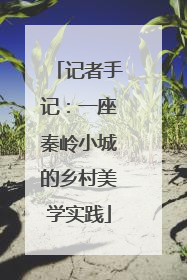 记者手记：一座秦岭小城的乡村美学实践