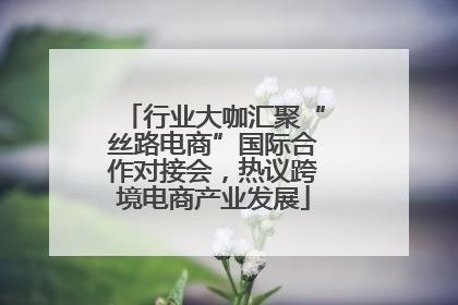行业大咖汇聚“丝路电商”国际合作对接会，热议跨境电商产业发展