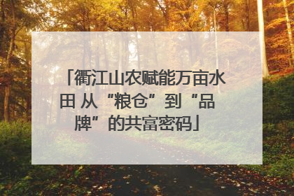 衢江山农赋能万亩水田 从“粮仓”到“品牌”的共富密码