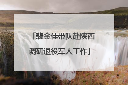裴金佳带队赴陕西调研退役军人工作