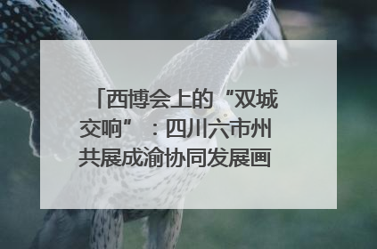西博会上的“双城交响”：四川六市州共展成渝协同发展画卷｜西博视界