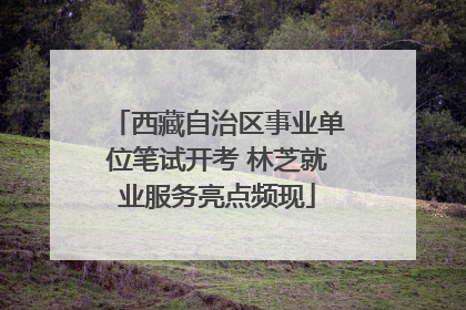 西藏自治区事业单位笔试开考 林芝就业服务亮点频现