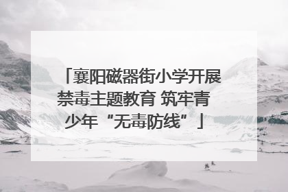 襄阳磁器街小学开展禁毒主题教育 筑牢青少年“无毒防线”