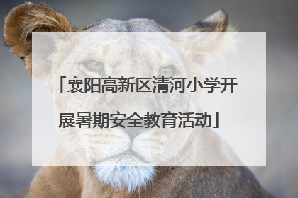 襄阳高新区清河小学开展暑期安全教育活动
