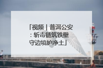 视频｜普洱公安：斩毒链筑铁壁 守边境护净土