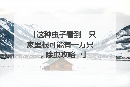 这种虫子看到一只家里很可能有一万只，除虫攻略→