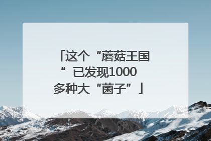 这个“蘑菇王国”已发现1000多种大“菌子”