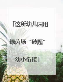 这所幼儿园用绿茵场“破题”幼小衔接