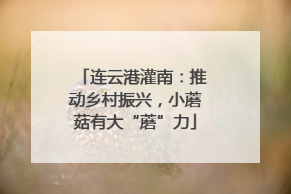 连云港灌南：推动乡村振兴，小蘑菇有大“蘑”力