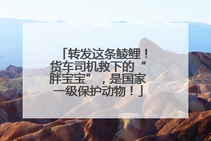 转发这条鲮鲤！货车司机救下的“胖宝宝”，是国家一级保护动物！