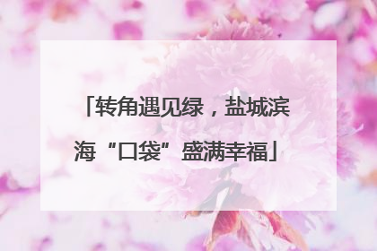 转角遇见绿，盐城滨海“口袋”盛满幸福