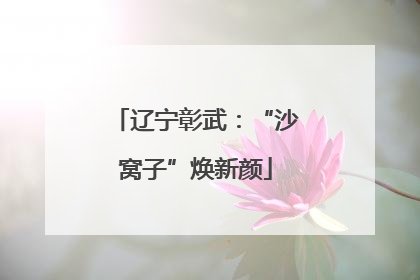 辽宁彰武：“沙窝子”焕新颜