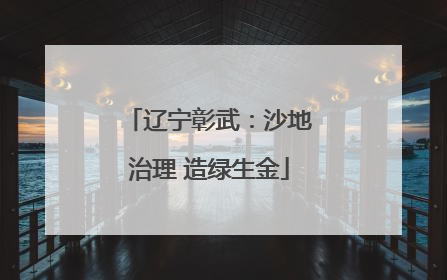 辽宁彰武：沙地治理 造绿生金