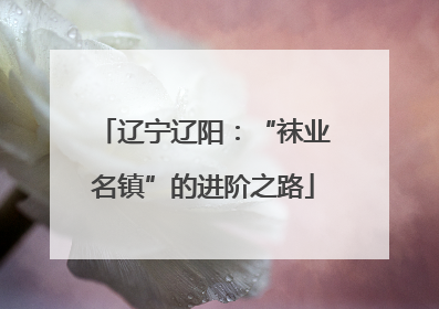 辽宁辽阳：“袜业名镇”的进阶之路
