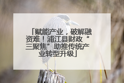 赋能产业，破解融资难！浦江县财政“三聚焦”助推传统产业转型升级
