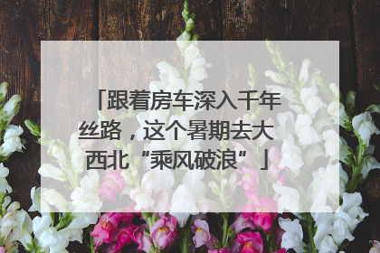 跟着房车深入千年丝路，这个暑期去大西北“乘风破浪”