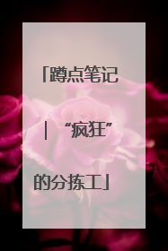 蹲点笔记｜“疯狂”的分拣工