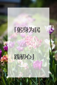 躬身为民践初心