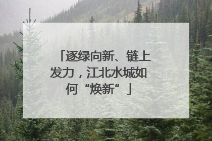 逐绿向新、链上发力，江北水城如何“焕新”