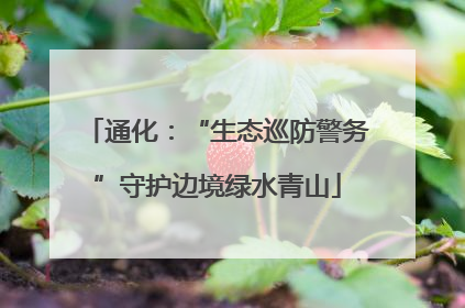 通化：“生态巡防警务”守护边境绿水青山