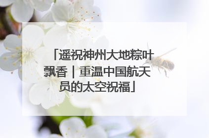 遥祝神州大地粽叶飘香｜重温中国航天员的太空祝福