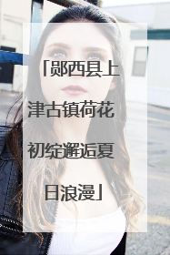 郧西县上津古镇荷花初绽邂逅夏日浪漫