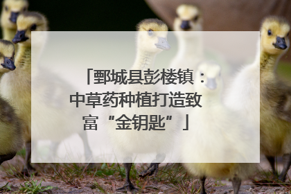 鄄城县彭楼镇：中草药种植打造致富“金钥匙”