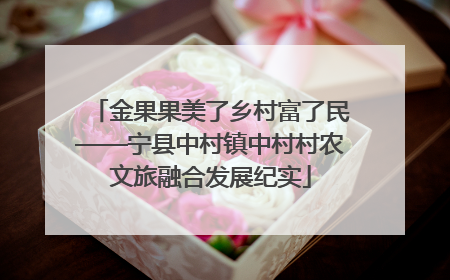 金果果美了乡村富了民——宁县中村镇中村村农文旅融合发展纪实