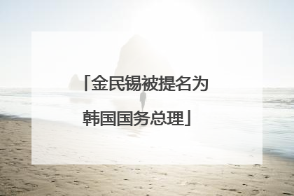 金民锡被提名为韩国国务总理
