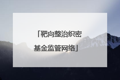 靶向整治织密基金监管网络
